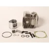 Genuine Echo P021039000 Cylinder & Piston Kit Fits CS680 CS680S OEM - Explore Premium Parts & Accessories for All Motor Vehicle Models< Echo OEM Parts & Accessories