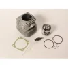 Genuine Echo P050005321 Piston & Cylinder Kit CS8000 QV8000 P050005320 OEM - Explore Premium Parts & Accessories for All Motor Vehicle Models< Echo OEM Parts & Accessories