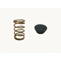 Genuine Echo V450001880 & V494000840 Spring & Spring Cap Kit OEM - Explore Premium Parts & Accessories for All Motor Vehicle Models< Echo OEM Parts & Accessories