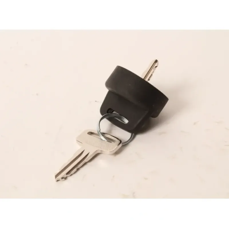 Genuine Exmark 106-5270 Ignition Key Set Lazer Z Diesel Staris ARX541CKA30000 - Explore Premium Parts & Accessories for All Motor Vehicle Models< Exmark OEM Parts & Accessories