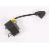 Genuine Husqvarna 576705602 Ignition Module Fits 135 140 OEM - Explore Premium Parts & Accessories for All Motor Vehicle Models< Husqvarna Parts Genuine OEM
