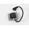 Laser 98362 Ignition Coil Fits Tecumseh 36344A 36344 37137 - Explore Premium Parts & Accessories for All Motor Vehicle Models< Laser Aftermarket Parts