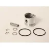 OEM Echo P021001102 Piston Kit GT200 GT201 GT230 GT231 SRM210 SRM220 SRM230 - Explore Premium Parts & Accessories for All Motor Vehicle Models< Echo OEM Parts & Accessories