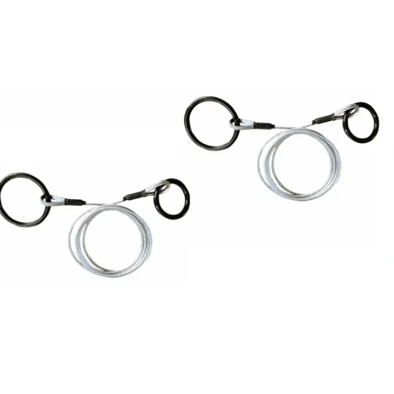 Laser Aftermarket Parts|2 Pack Laser 42943 Log Choker Cable with Tow Rings 3/16" x 10' - Explore Premium Parts & Accessories for All Motor Vehicle Models