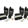 Clearance 2 Pack Stens 785-674 Engine Maintenance Kit Fits Kawasaki 99999-0384 - Explore Premium Parts & Accessories for All Motor Vehicle Models Stens Parts & Accessories