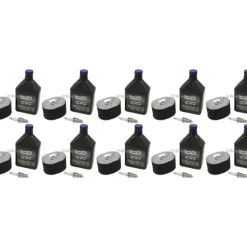 Stens Parts & Accessories|10 Pack Stens 785-648 Engine Maintenance Kit Replaces Honda GX140-GX200 - Explore Premium Parts & Accessories for All Motor Vehicle Models