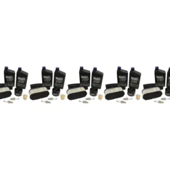 Cheap 5 Pack Stens 785-674 Engine Maintenance Kit Fits Kawasaki 99999-0384 - Explore Premium Parts & Accessories for All Motor Vehicle Models Stens Parts & Accessories