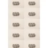 Echo OEM Parts & Accessories|10 PK Echo A052000042 Starter Pawl ASM PB610 PB620 PB650 PB651 PB750 PB751 PB755 - Explore Premium Parts & Accessories for All Motor Vehicle Models