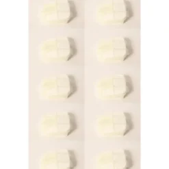 Echo OEM Parts & Accessories|10 PK Genuine Echo A226001090 Air Filter ASM CS490 CS500P CS501P 491s OEM - Explore Premium Parts & Accessories for All Motor Vehicle Models