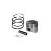 Rotary Parts & Accessories|Rotary 6726 Piston Assembly 10-12hp (+010) B&S - Explore Premium Parts & Accessories for All Motor Vehicle Models