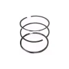 Rotary Parts & Accessories|Rotary 8794 Piston Ring (Std) B&S - Explore Premium Parts & Accessories for All Motor Vehicle Models